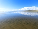 whangarei (70)